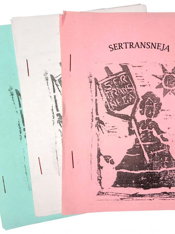 cordeis sertransnejos xica