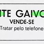 Anúncio de venda da boite Gaivota