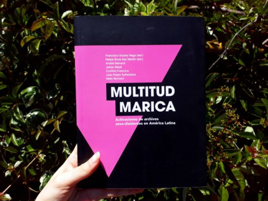 libro-multitud-marica