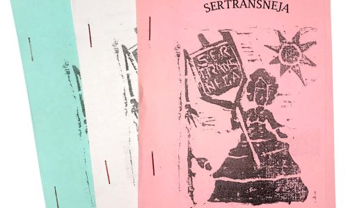 cordeis sertransnejos xica